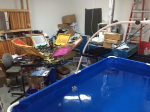 iPool Garage Therapy Pool