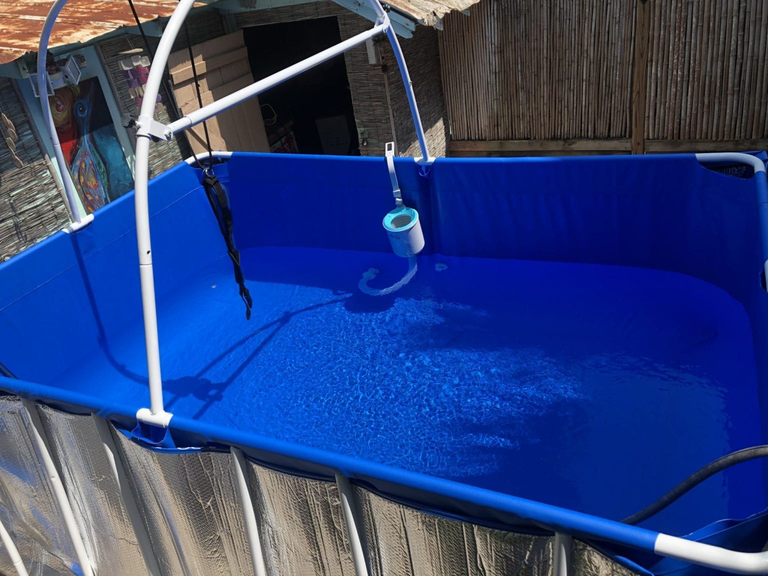 Sarasota_Pool_08